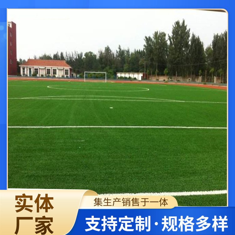 拉萨市塑胶篮球场人造草坪 - 方案